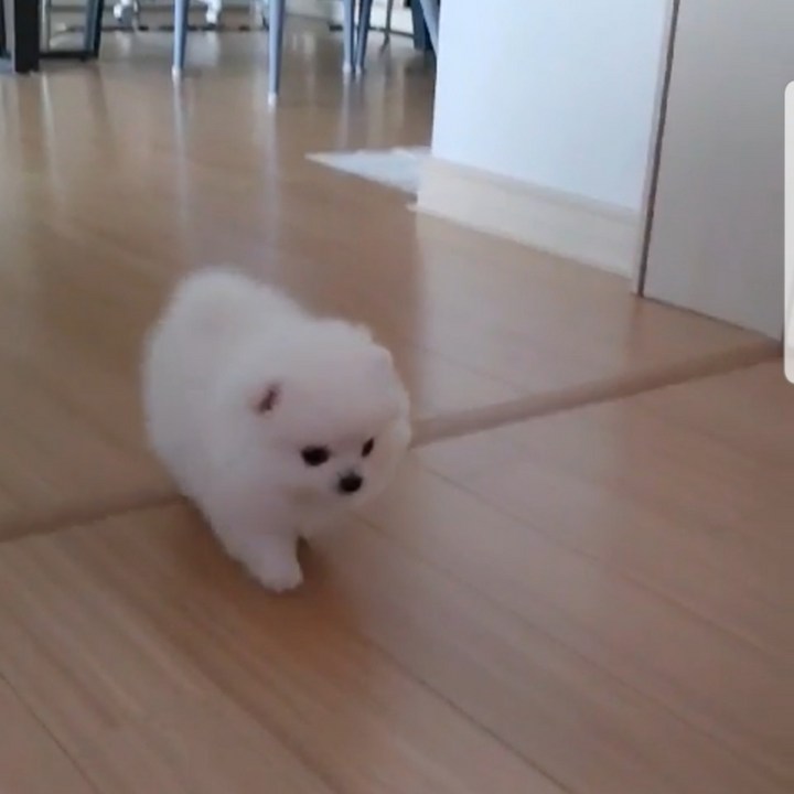 선물로 추천합니다 가야금공연하는 지인에게 선물했어요 너무 좋아하네요 인형도 예쁘고 정교한듯