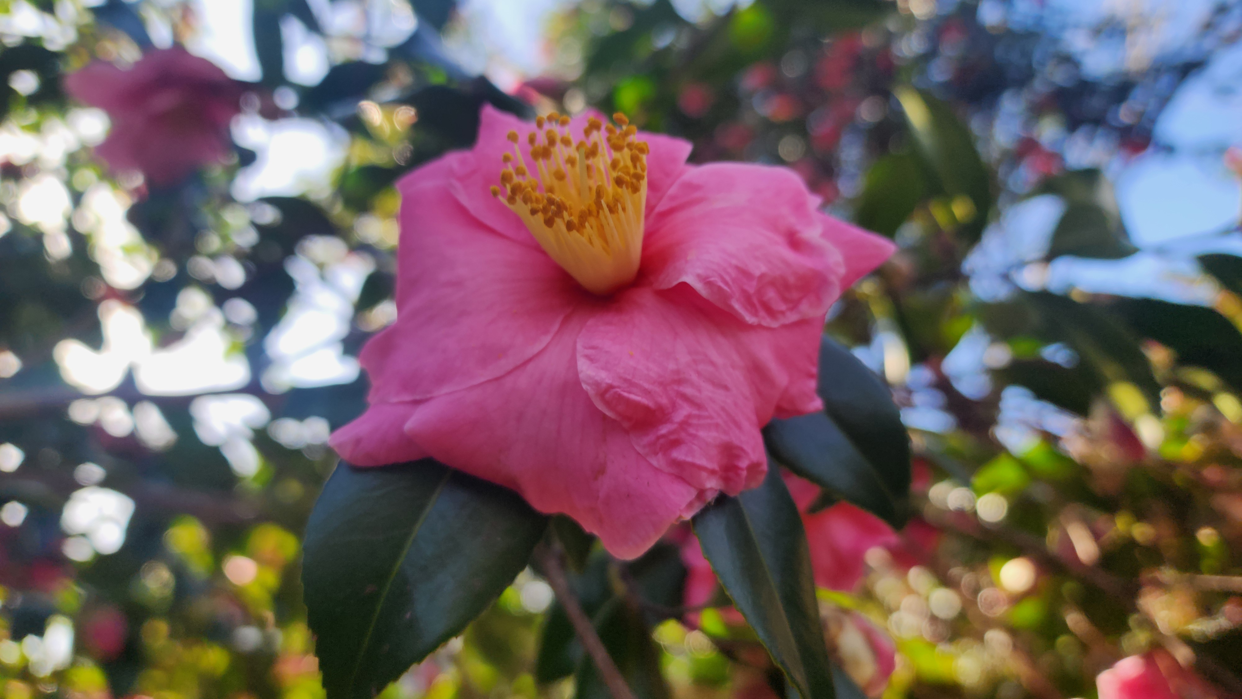 이쁜선물 했네요ㅎㅎ