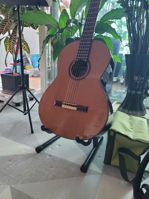 오죽선-난초 리뷰 이미지