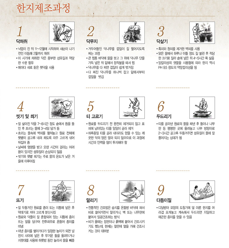 [텍스트: 한지제조과정 1 닥채취 2 닥무지 3 닥삶기 4 씻기 및 찧기 5 티 고르기 6 두드리기 7 뜨기 8 말리기 9 다듬이질] 한지 제작 아홉 단계 공정과 전통 방식 설명, 붓그림 삽화와 갈색 톤 배경 구성 이미지